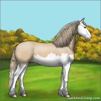 Horse Color:Red Dun Mushroom Splash 