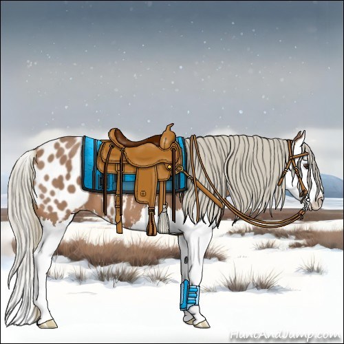 Horse Color:Chestnut Mushroom Splash Appaloosa 