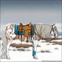 Horse Color:Chestnut Mushroom Splash Appaloosa 