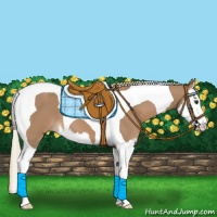 Horse Color:Chestnut Mushroom Splash Tobiano 