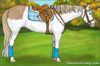 Horse Color:Chestnut Mushroom Splash 