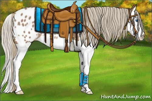 Horse Color:Chestnut Mushroom Splash Appaloosa 