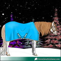 Horse Color:Chestnut Splash 