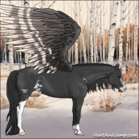 Horse Color:Black Sabino Varnish 