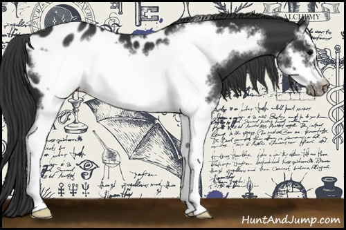 Horse Color:Black Splash Frame Blanket 