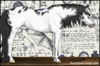 Horse Color:Black Splash Frame Blanket