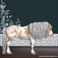 Horse Color:Painted White Spotted Silver Bay Ice Dun 