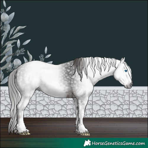 Horse Color:Gray White Spotted Liver Chestnut Frame 