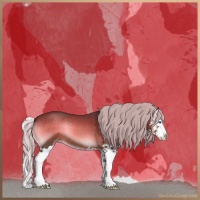 Horse Color:Silver Brown Roan Onyx Splash 