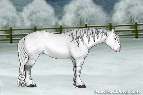 Horse Color:White Spotted Silver Brown Chinchilla Ice Roan Onyx Splash