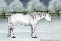 Horse Color:White Spotted Silver Brown Chinchilla Ice Roan Onyx Splash 