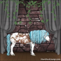 Horse Color:Painted Silver Brown Sabino Splash Rabicano 