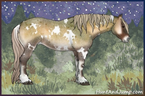 Horse Color:White Spotted Silver Bay Roan Onyx 