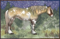 Horse Color:White Spotted Silver Bay Roan Onyx 