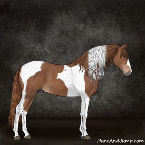 Horse Color:Chestnut Tobiano 