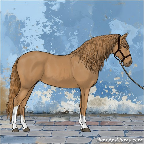 Horse Color:Chestnut Tobiano 