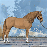 Horse Color:Chestnut Tobiano
