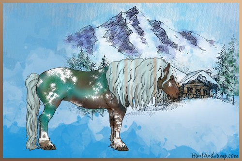 Horse Color:Painted White Spotted Liver Chestnut Tobiano 