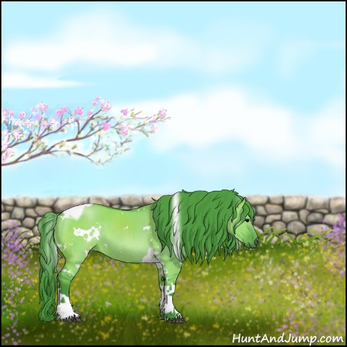 Horse Color:Watercolor White Spotted Grullo Tobiano Rabicano