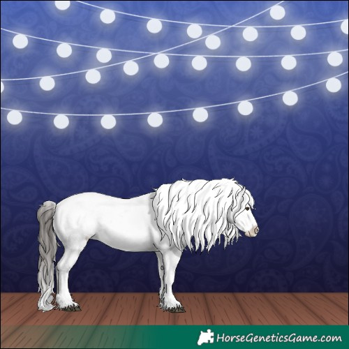 Horse Color:White Spotted Liver Red Dun Tobiano Appaloosa Rabicano 