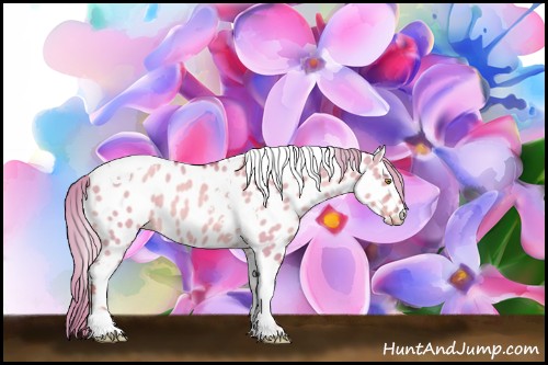 Horse Color:Watercolor Gold Champagne Dun Tobiano Appaloosa Rabicano 