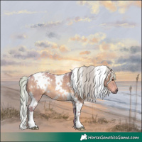 Horse Color:Watercolor White Spotted Silver Grullo Tobiano Rabicano 