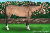 Horse Color:Brown Dun Sabino Rabicano