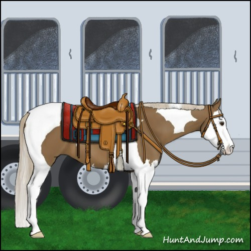 Horse Color:Chocolate Palomino Splash Tobiano
