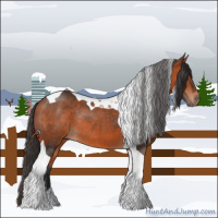 Horse Color:Bay Tobiano Rabicano