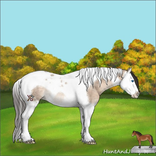 Horse Color:Bay Dun Splash Tobiano Rabicano 