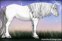 Horse Color:Liver Chestnut Frame Snowflake Varnish