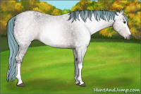 Horse Color:Gray Painted White Spotted Bay Ice Roan 