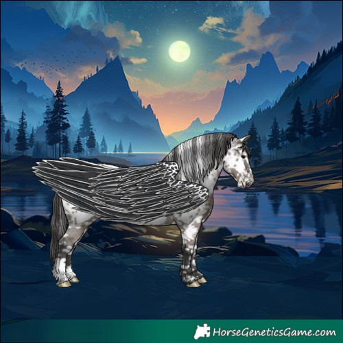 Horse Color:Grullo Appaloosa Rabicano 