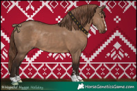 Horse Color:Liver Red Dun Rabicano 