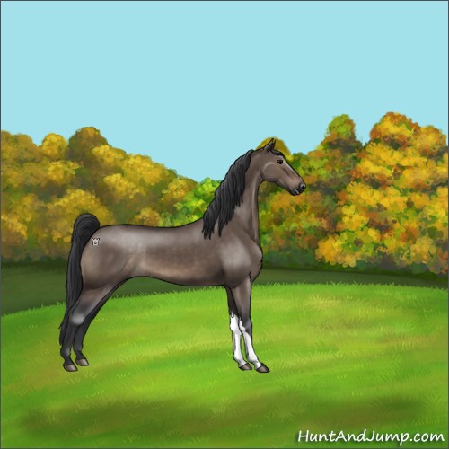 Horse Color:Brown Dun 