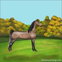 Horse Color:Brown Dun Rabicano Brindle 