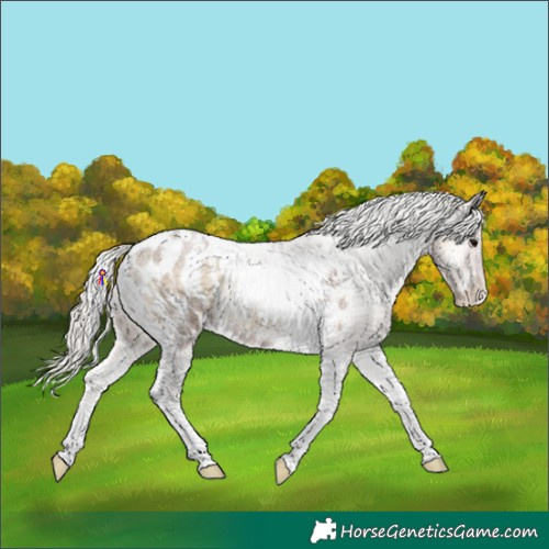 Horse Color:Silver Smoky Blue Onyx Roan Tobiano Blanket 