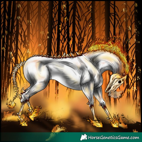 Horse Color:Chocolate Bay Onyx Splash Appaloosa