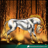 Horse Color:Chocolate Bay Onyx Splash Appaloosa 