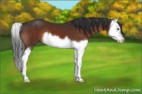 Horse Color:Brown Splash 