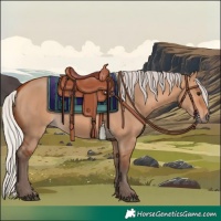 Horse Color:Silver Bay Dun 