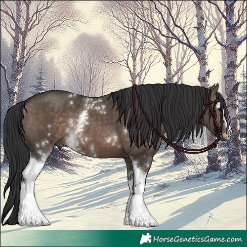 Horse Color:White Spotted Brown Dun 