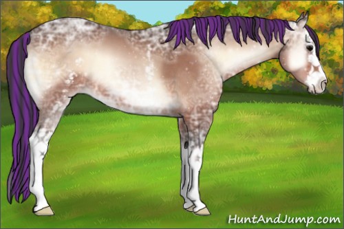 Horse Color:Painted White Spotted Bay Ice Roan Onyx Splash