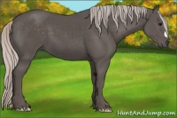 Horse Color:Silver Black 