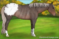 Horse Color:Silver Black Snowcap Rabicano 