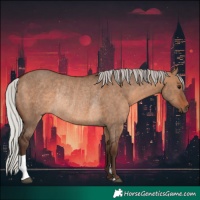 Horse Color:Silver Brown Dun Rabicano 