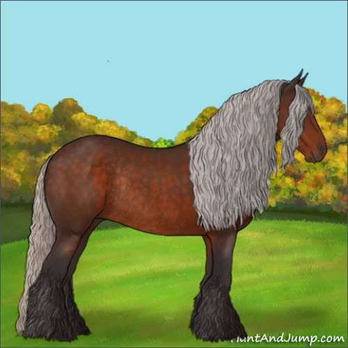 Horse Color:Silver Brown Rabicano 