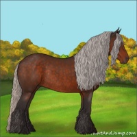 Horse Color:Silver Brown Rabicano 