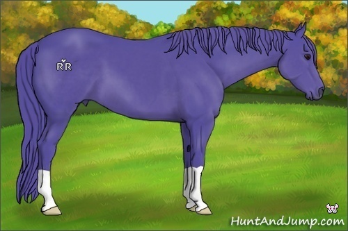 Horse Color:Watercolor Black Chinchilla