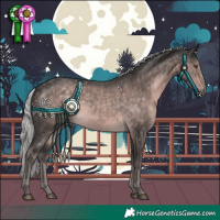 Horse Color:Platinum Chocolate Palomino 